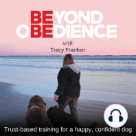 09 | To treat or not to treat? How treats may be wrecking your relationship with your dog! (and what to do about it)