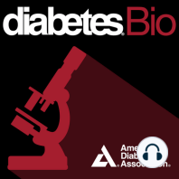 Satya Dash on erythritol and cardiometabolic disease; Jeffrey Hodgin and Alan Attie on genetic analysis of obesity-induced diabetic nephropathy in BTBR mice; and revisiting Frans Schuit’s 1998 “Classic in Diabetes” on glucagon biology
