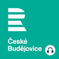 Zprávy z jižních Čech: Většinu vysázených stromků lesníci zase pokácí. Do mýtného věku doroste jen asi desetina dřevin