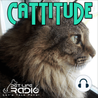 Cattitude - Episode 75 Feline First Aid – Saving Your Cat's Nine Lives with Pet Safety Coach Arden Moore