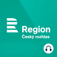 Zprávy Českého rozhlasu Region: Réva poškozená mrazem na některých místech obráží. Vinaři na Kutnohorsku se sčítáním škod vyčkávají