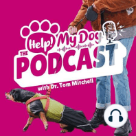 Ep 24: Dog Reactivity, Barking & Lunging & Dog Social Skills!