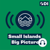 Small Islands Big Picture episode 8: Why are so many small states turning to Citizenship by Investment (CBI) schemes?