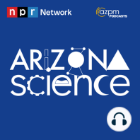 Episode 413: Learning more about a Sonoran Desert Icon