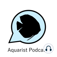 Ep. 110 - Zenzo Tazawa on African Cichlids and Escargot