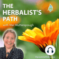 ?How To Harvest Medicinal Herbs For The Most Potent Remedies