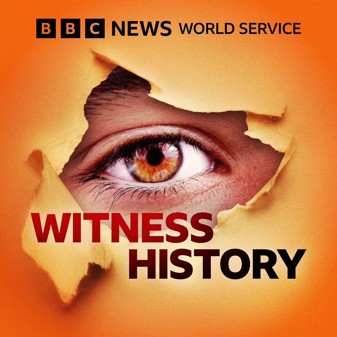How the QR code was invented Witness History Podcast