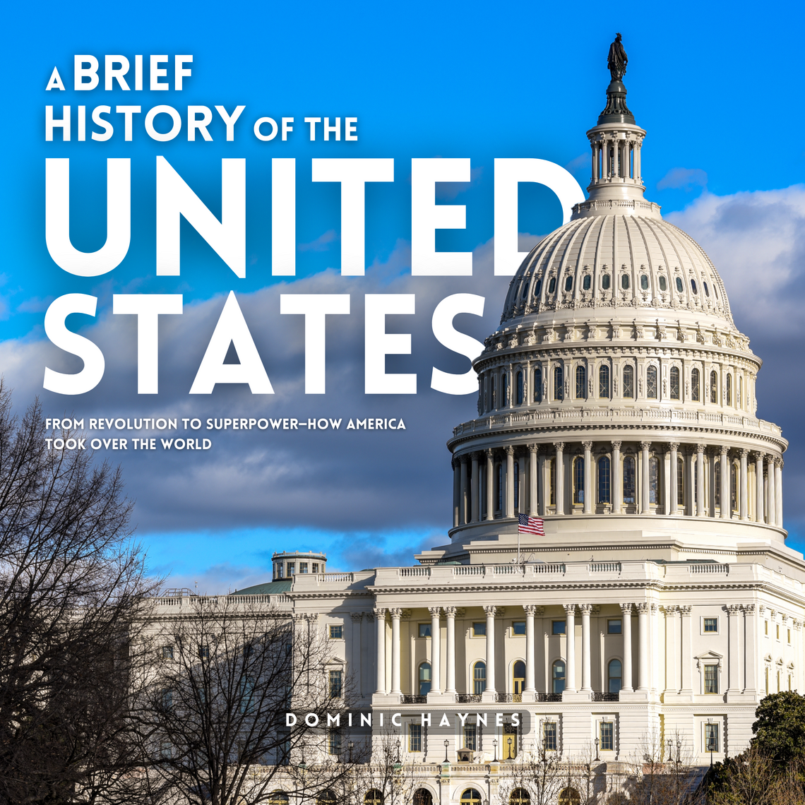 A Brief History of the United States by Dominic Haynes (Audiobook ...