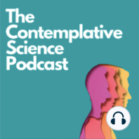 Purposeful Behaviour Through a Buddhist Lens w Nadav Amir