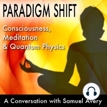 Paradox, Illusion and the Post-Spiritual Inquiry: A Conversation with Steven Harrison