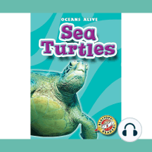 Sea Turtles