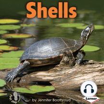 Shells