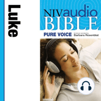 NIV Audio Bible, Pure Voice