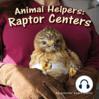 Animal Helpers: Raptor Centers