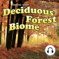 Seasons Of The Decidous Forest Biome