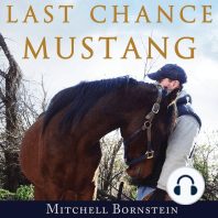 Last Chance Mustang: The Story of One Horse, One Horseman, and One Final Shot at Redemption
