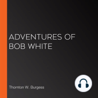 Adventures of Bob White