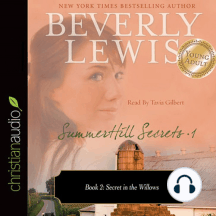 Secret in the Willows: SummerHill Secrets, Volume 1, Book 2