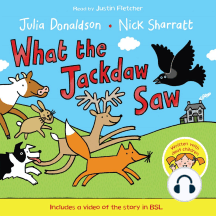What the Jackdaw Saw: Book and CD Pack
