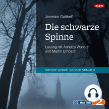 Die schwarze Spinne