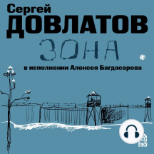 Зона. Записки надзирателя