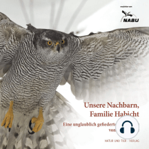 Dem Habicht ins Nest geschaut: Eine Adaption des Buches 'Unsere Nachbarn, Familie Habicht' von Klaus Ruge