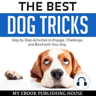 The Best Dog Tricks