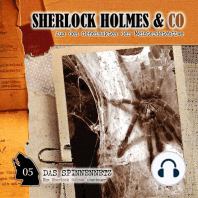 Sherlock Holmes & Co, Folge 5