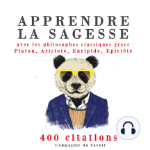 Apprendre la sagesse avec les philosophes classiques grecs 400 citations