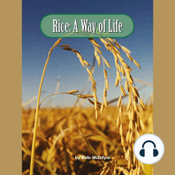 Rice: A Way of Life