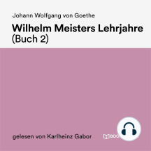 Wilhelm Meisters Lehrjahre (Buch 2)