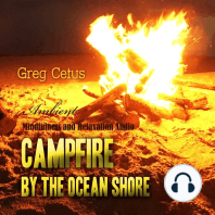 Campfire By The Ocean Shore