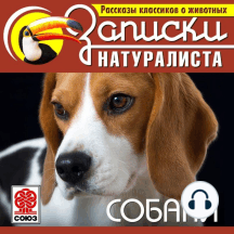Рассказы классиков о животных. Собаки