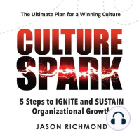 Culture Spark: 5 Steps to Ignite and Sustain Organizational Growth