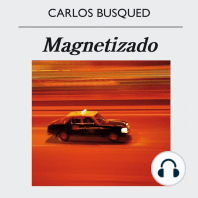 Magnetizado