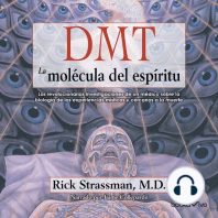 DMT: La molécula del espíritu (DMT: The Spirit Molecule): Las revolucionarias investigaciones de un medico sobre la biologia de las experiencias misticas y cercanas a la muerte
