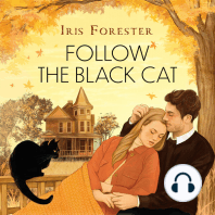 Follow the Black Cat