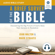 Brief Survey of the Bible, A: Audio Bible Studies: Discovering the Big Picture of God's Story from Genesis to Revelation