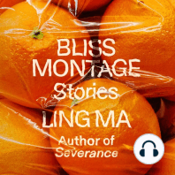 Bliss Montage: Stories