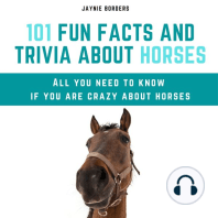 101 Fun Facts and Trivia About Horses: All You Need To Know If You Are Crazy About Horses