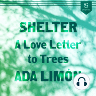 Shelter: A Love Letter to Trees