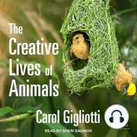 The Creative Lives of Animals
