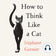 How to Think Like a Cat