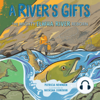 A River's Gifts