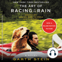 The Art of Racing in the Rain