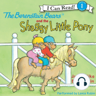 The Berenstain Bears and the Shaggy Little Pony