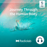Radiolab: Journey Through The Human Body