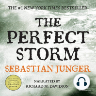 The Perfect Storm