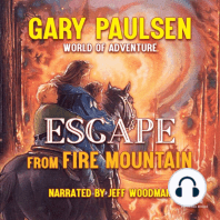 Escape from Fire Mountain