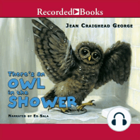 There's an Owl in the Shower